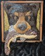 [Nicole Turek Shar-Bear image]